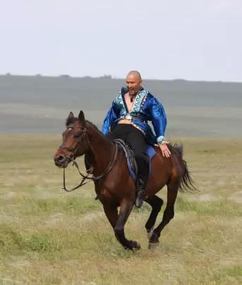 Калмыцкая порода лошадей