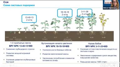 Минеральное питание сои