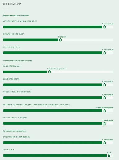 Туранус (TURANUS) сорт мягкой озимой пшеницы
