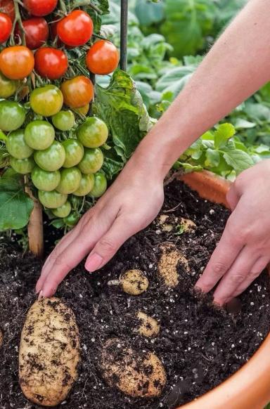 Интересные факты🕵‍♀