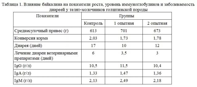 Флавоноид байкалин улучшает рост и здоровье телят-молочников