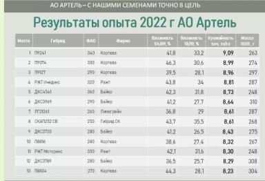 Алгоритм выбора гибрида кукурузы