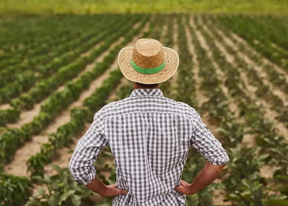 В России хотят разрешить продажу в торговых сетях личной сельхозпродукции