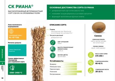 СК Риана сорт сои