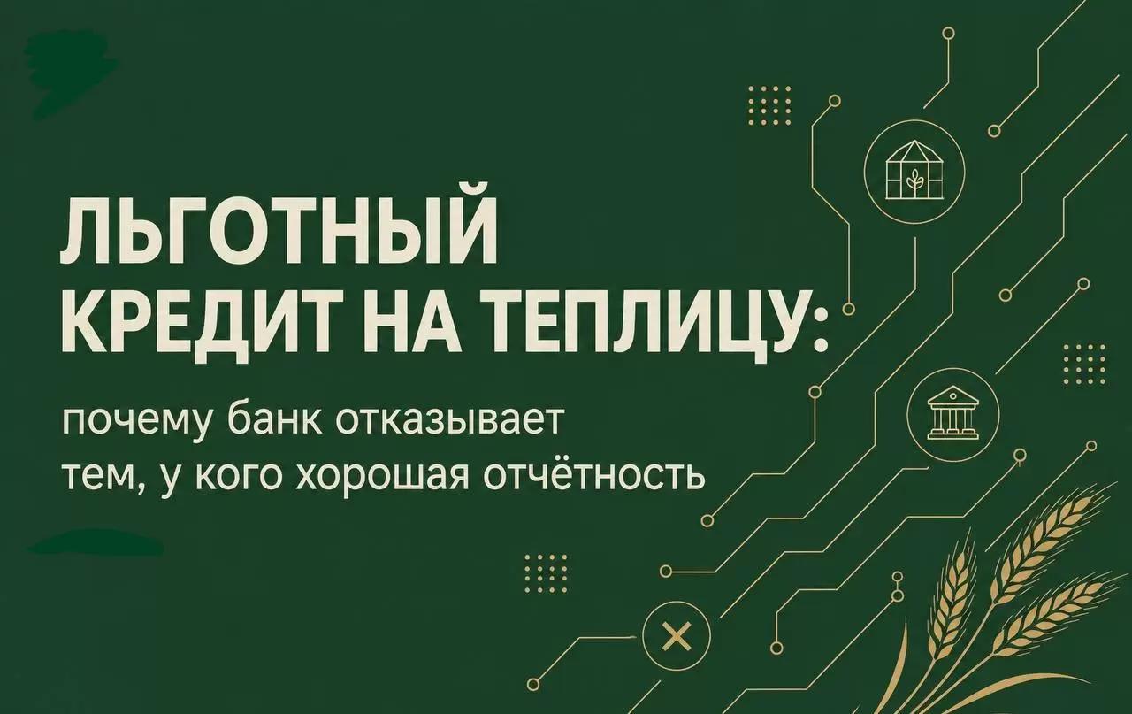 Льготный кредит на теплицу:почему банк отказывает тем, у кого хорошая отчётность