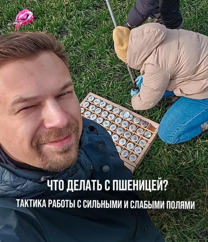 ЧТО ДЕЛАТЬ С ПШЕНИЦЕЙ? ТАКТИКА РАБОТЫ С СИЛЬНЫМИ И СЛАБЫМИ ПОЛЯМИ