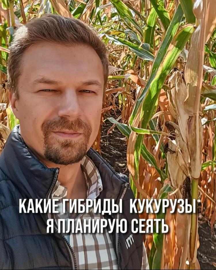 КАКИЕ ГИБРИДЫ КУКУРУЗЫ Я ПЛАНИРУЮ СЕЯТЬ