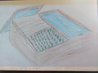 Овощи и фрукты – как хранить правильно?