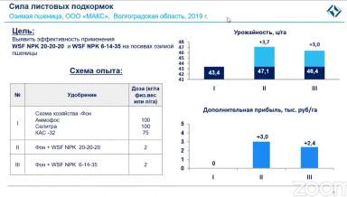 Азотное питание и листовые подкормки