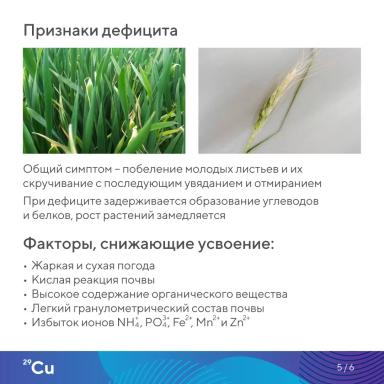 «Элементарно об элементах!»: медь