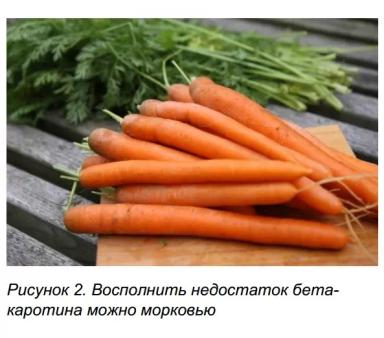 Обеспечение молочных коров бета-каротином