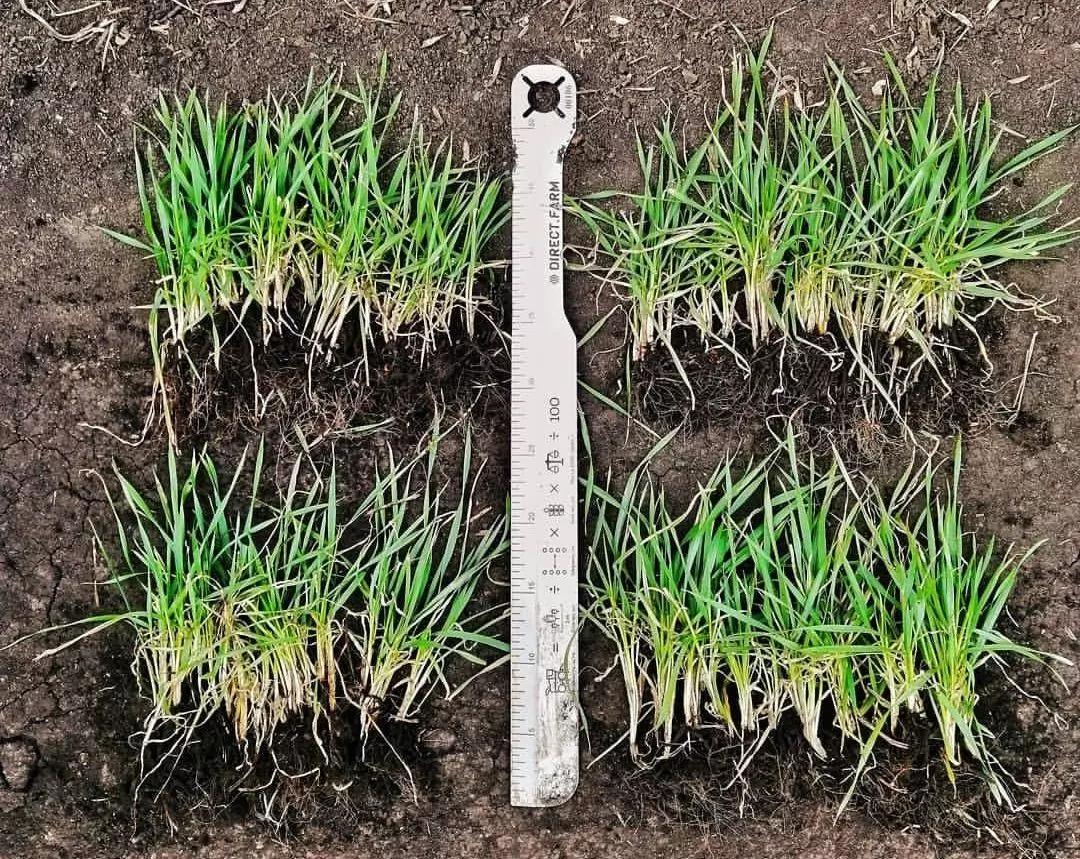 А у вас есть линейка агронома?