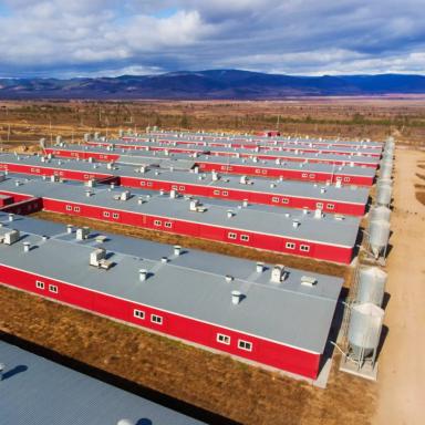 Партнеры об «Августе»