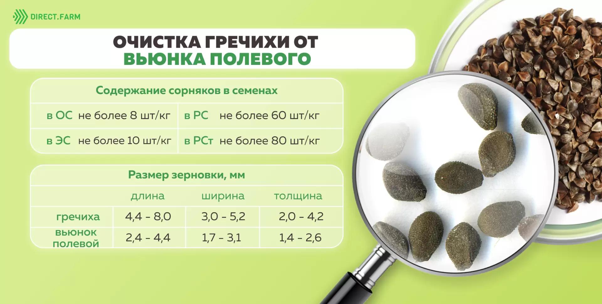 Очистка гречихи от вьюнка полевого