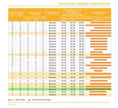 Сузука (SUZUKA) гибрид подсолнечника Сингента