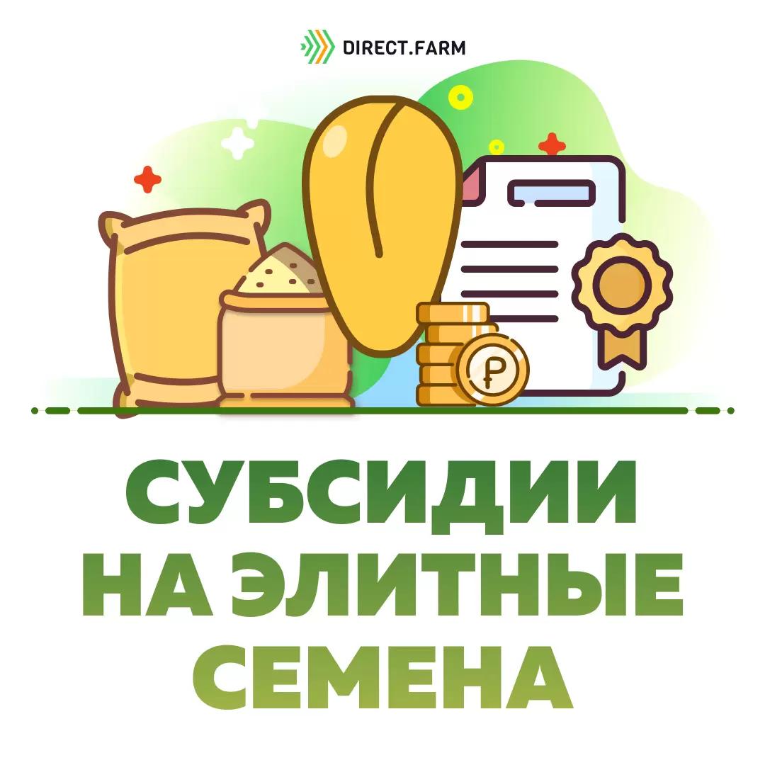 Кто сеет элиту и получает субсидии?