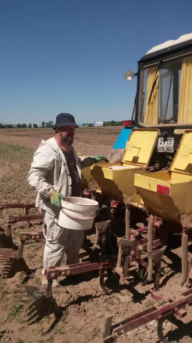 Новые сорта: опыт продолжается. 