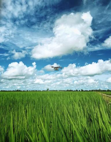 В каких случаях хозяйству стоит задуматься об использовании дронов?