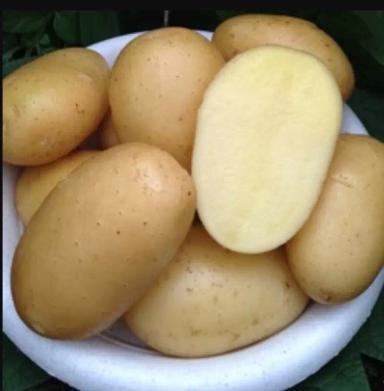 Импала  (IMPALA)