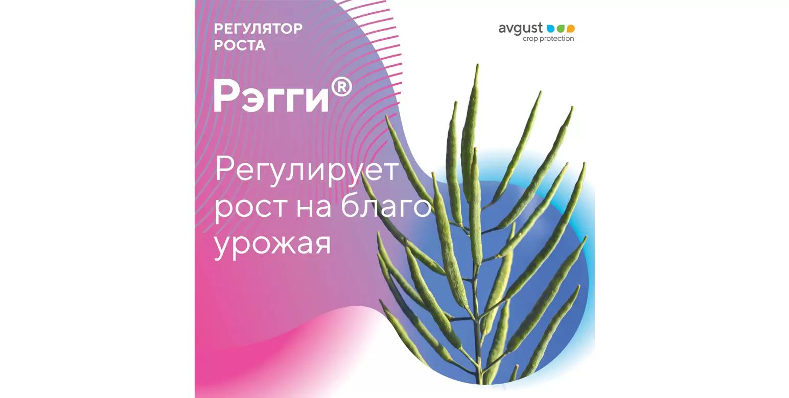Рэгги® – регулирует рост на благо урожая