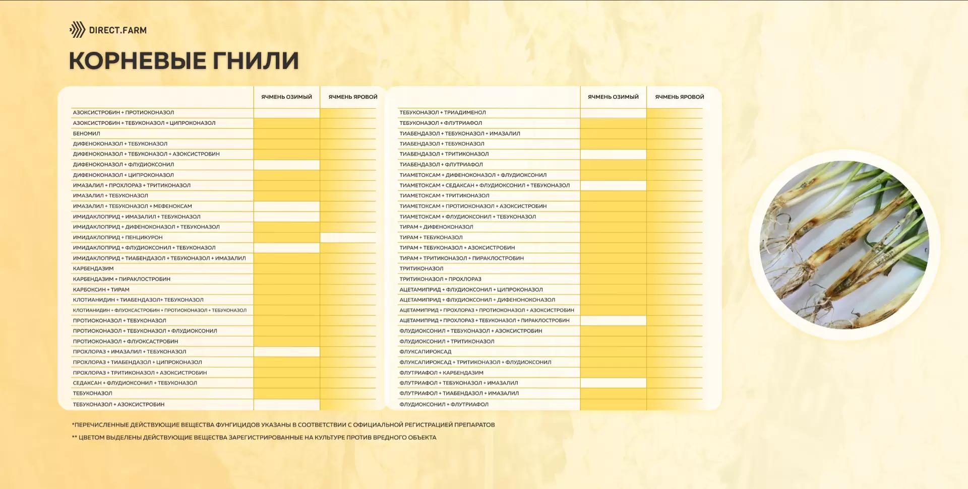 Шпаргалки д.в. против корневых гнилей ячменя