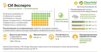 СИ Эксперто гибрид подсолнечника