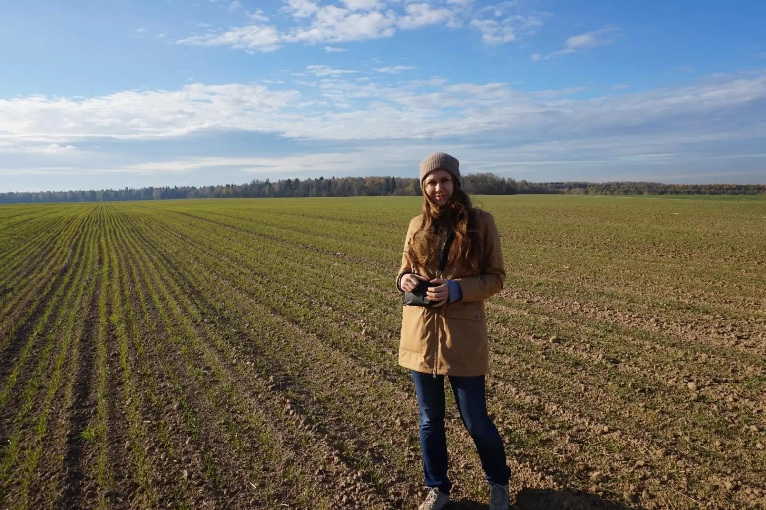 Всходы на поле. Что проверяем?