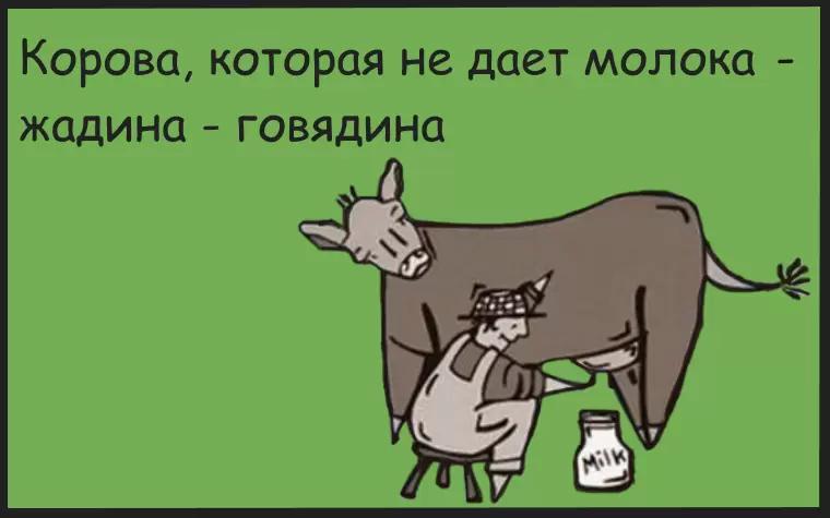 Повышение продуктивности коров
