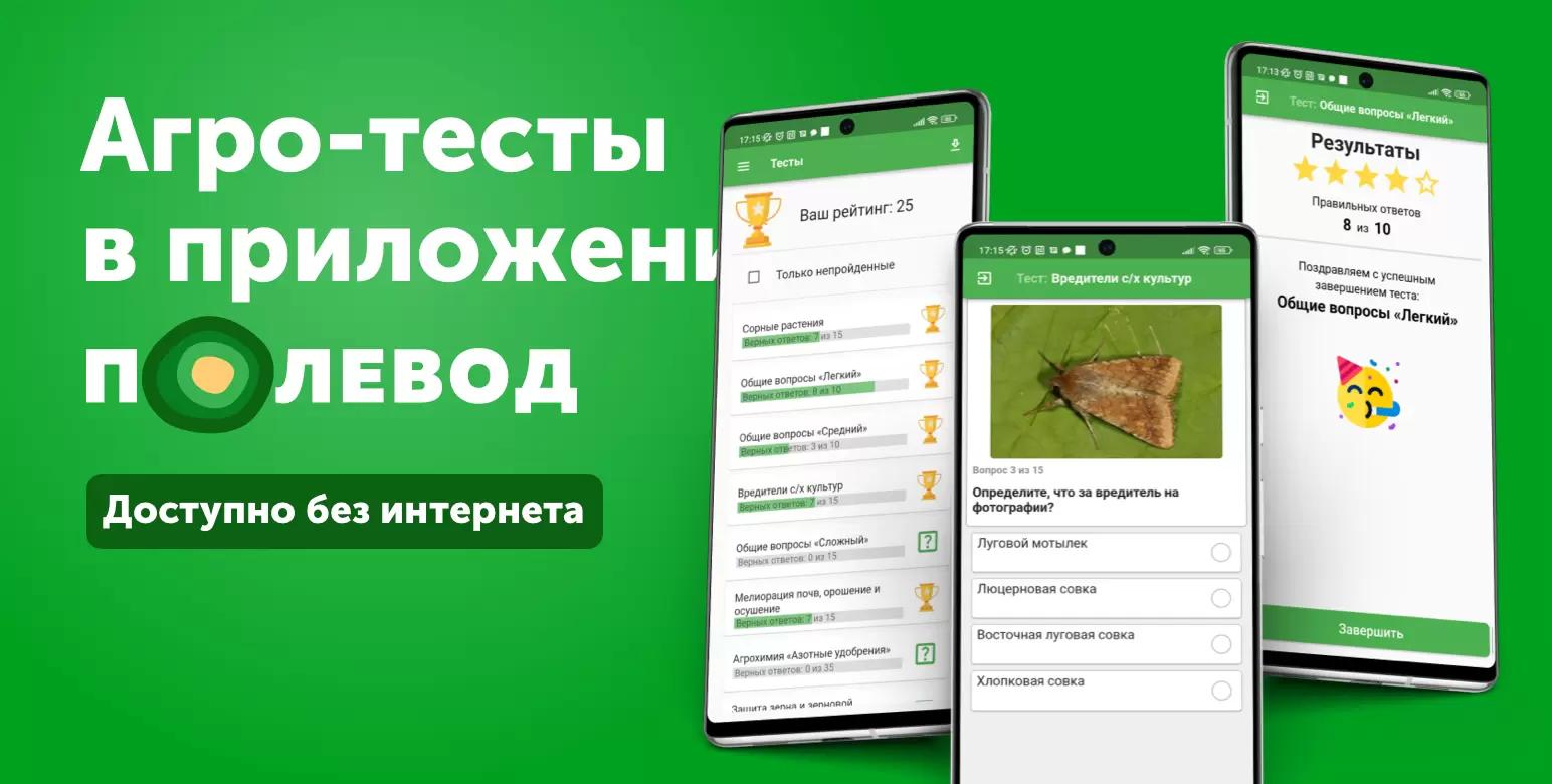 Понравилась викторина? Проходи больше тестов в Полеводе!