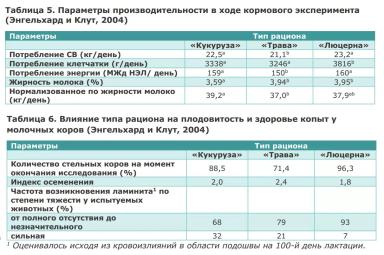 Питательная ценность люцерны и правила ее применения
