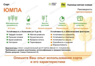 Юмпа сорт мягкой озимой пшеницы