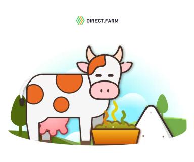 Использование сорбента микотоксинов в кормлении коров