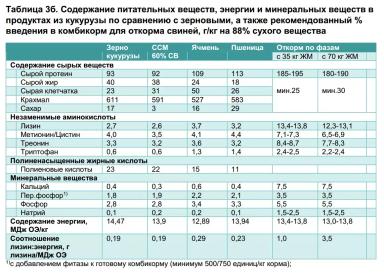 Кормление свиней рационами с кукурузой