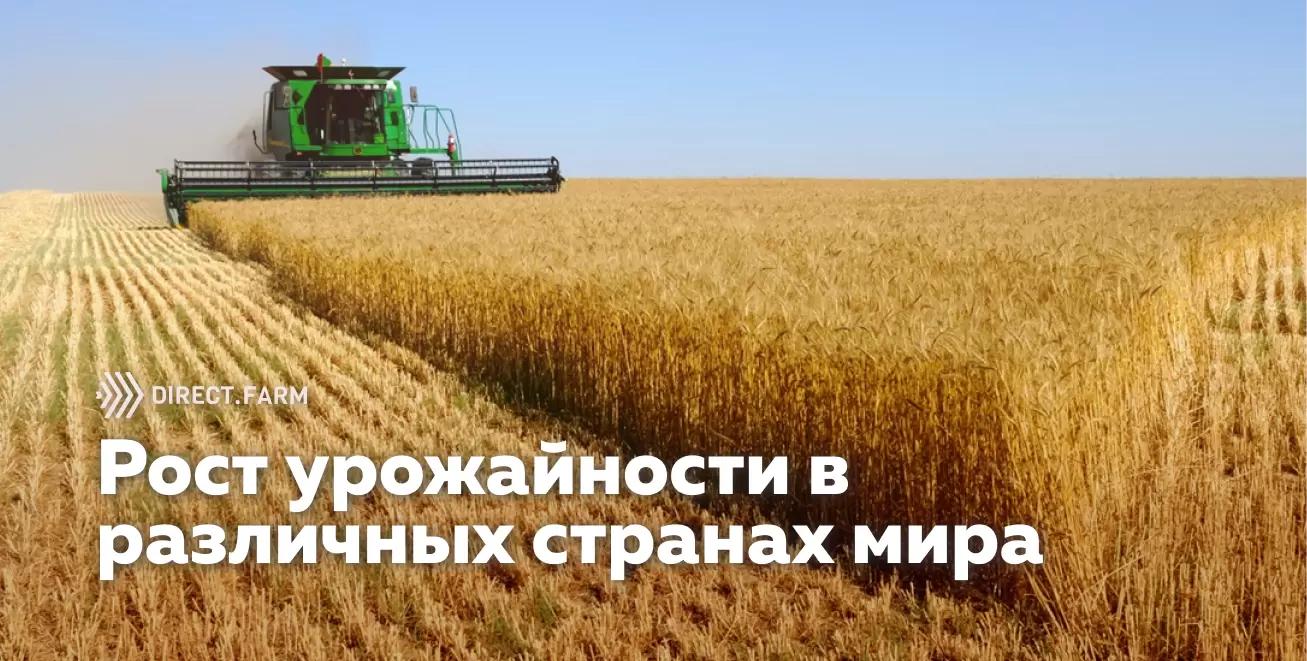 Разница между фактической и потенциальной урожайностью