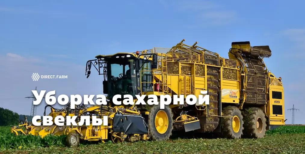 Требования к уборке сахарной свеклы