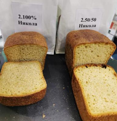 «Пшеница – это жизнь, а твердая пшеница – здоровье!»