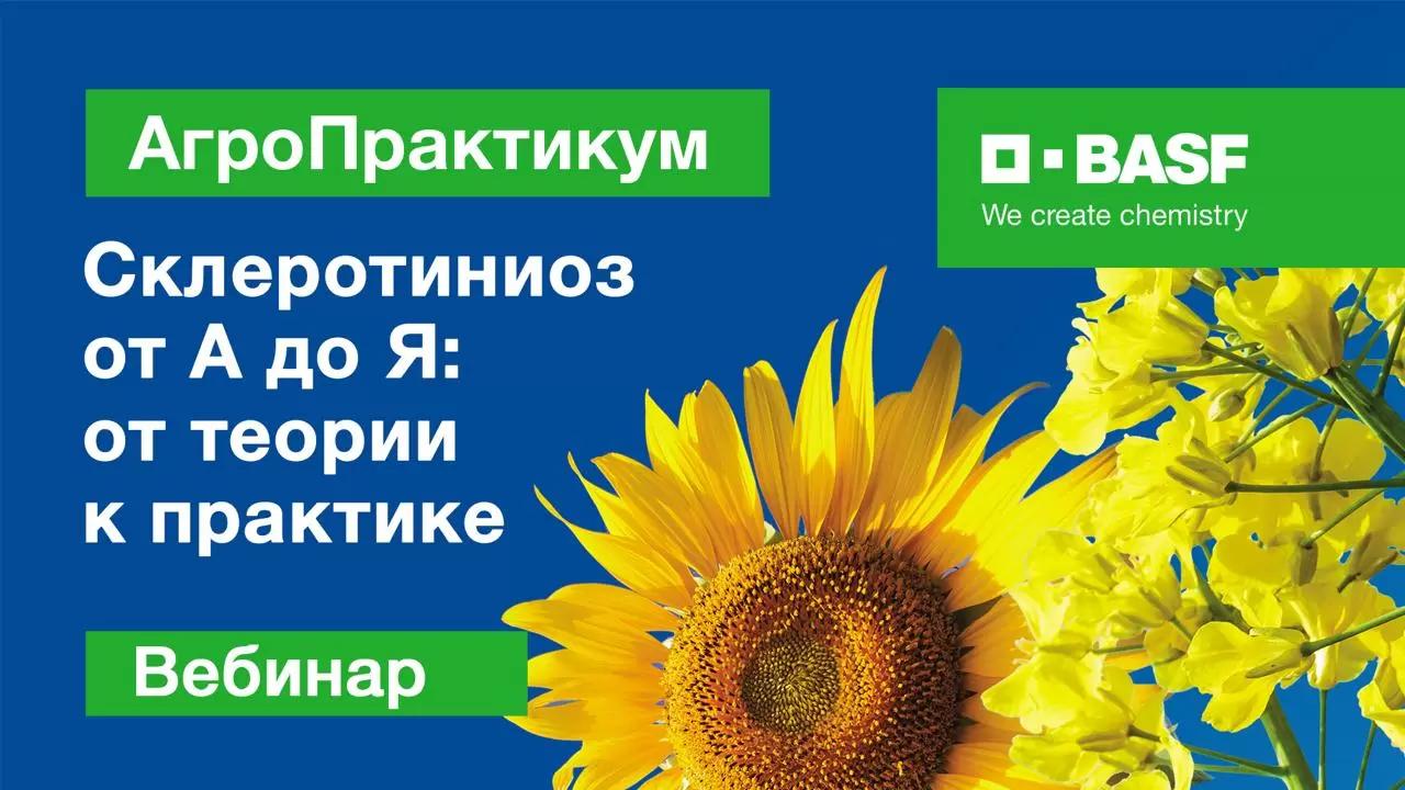 Запись вебинара АгроПрактикум: «Склеротиниоз от А до Я: от теории к практике»: