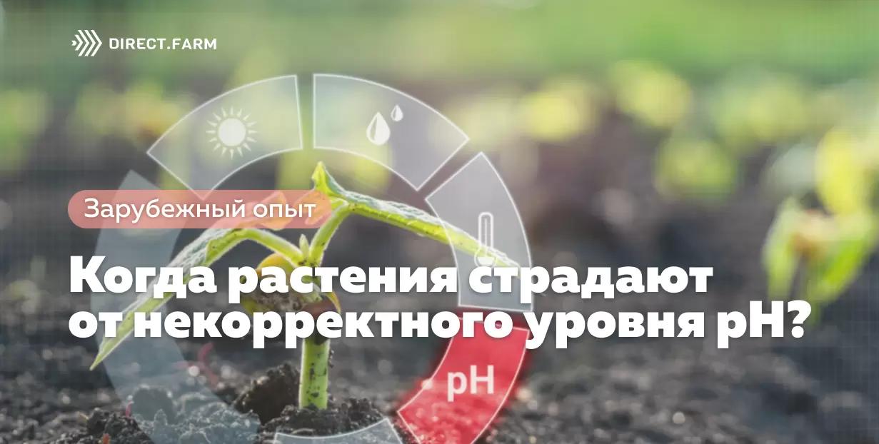 Когда растения страдают от некорректного уровня  pH?