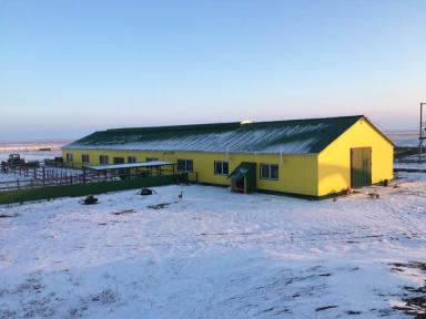 Строительство коровников на 50 голов КРС