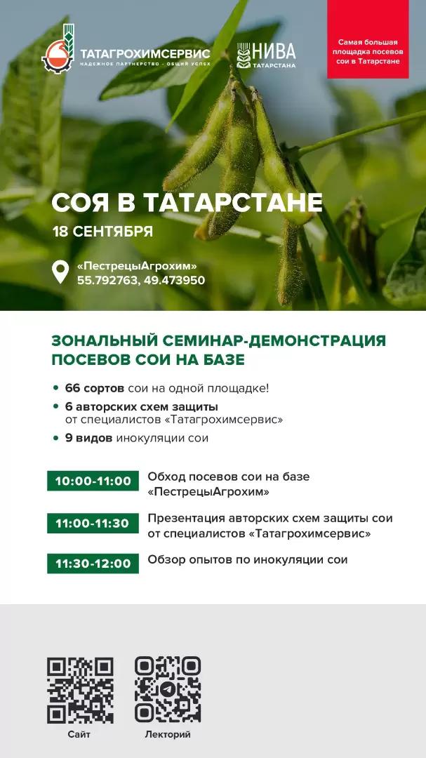 🎯Соя в Татарстане: продолжаем делиться результатами!