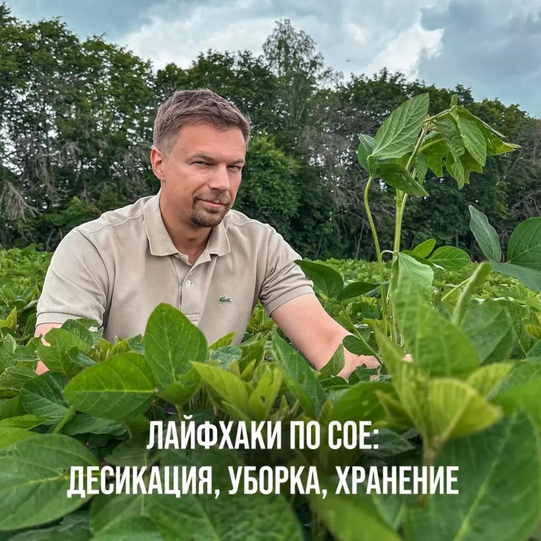 ЛАЙФХАКИ ПО СОЕ: ДЕСИКАЦИЯ, УБОРКА, ХРАНЕНИЕ