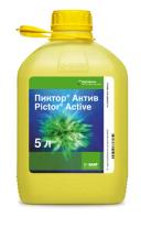 Пиктор Актив, КС