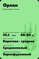 Орлан