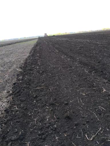 600 га озимых на пересев