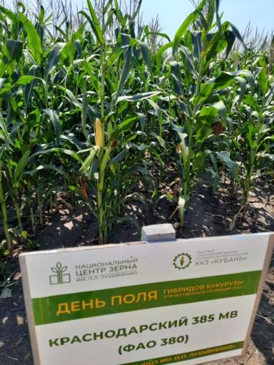 Краснодарский 385 МВ