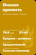 Омская крепость