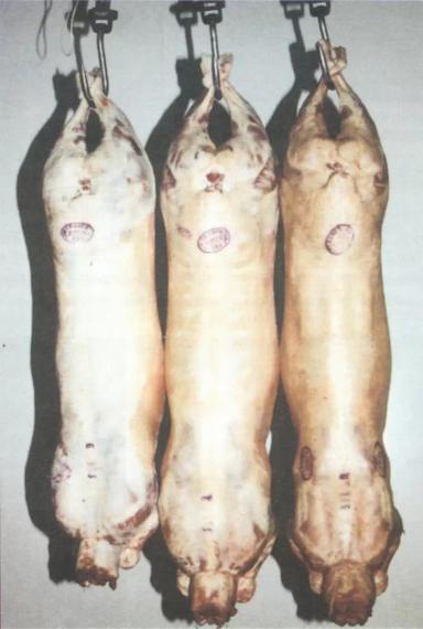 Дюдэ – Овцеводство. Гл. 11. Ч. 2. Обработка продукции. Марки и ярлыки