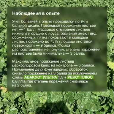 Доказано в поле