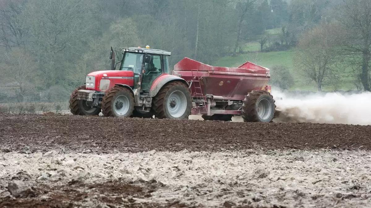 Влияние извести на питательный режим почвы