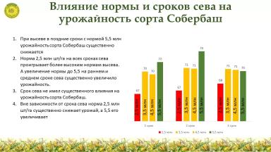 Влияние норм высева и сроков сева на урожайность озимой пшеницы в ЦЧР 2021г